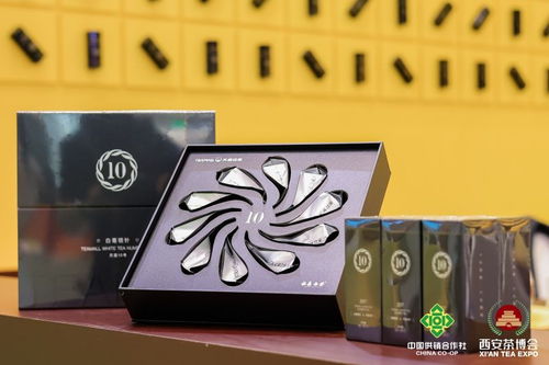 六月佳茗迎盛事 第十七届中国西安国际茶业博览会盛大开幕