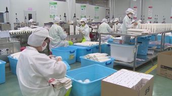 荆州造的 茶杯 已经买到全球29个国家和地区